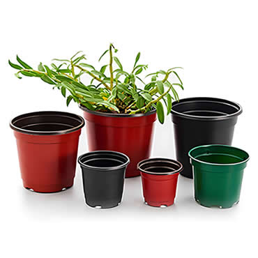 Flowerpot