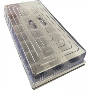 21 grid seedling tray, upper caliber 62×62mm, height 65mm