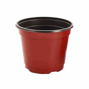 Bi-color Flowerpots