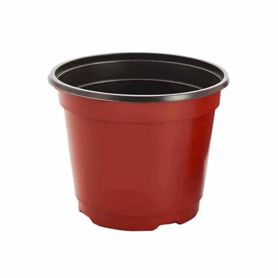 Bi-color Flowerpots
