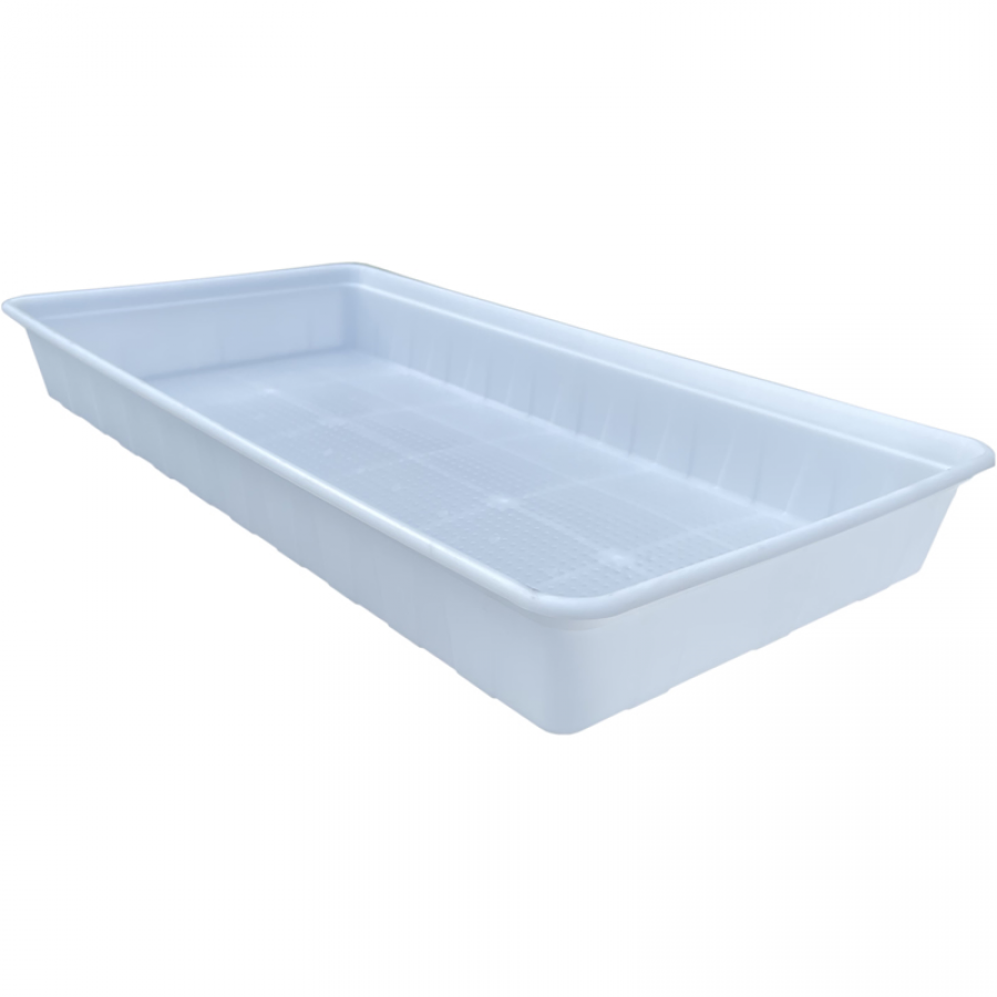 Plastic Tray