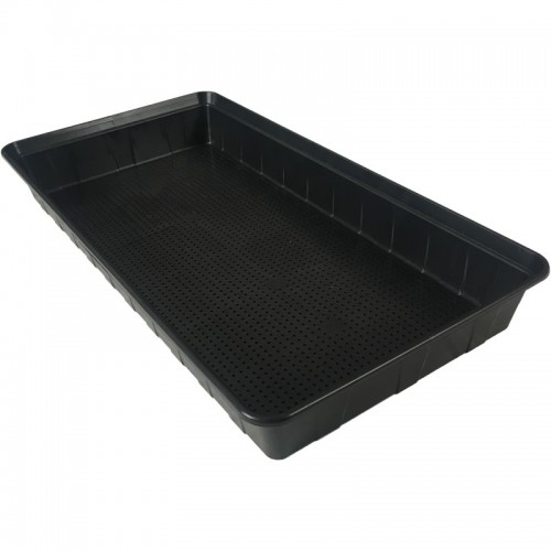 Plastic Tray