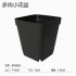 育苗杯 7cm小黑方杯